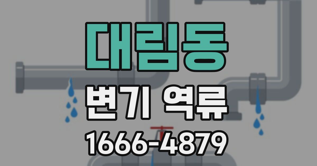 대림동 변기 역류