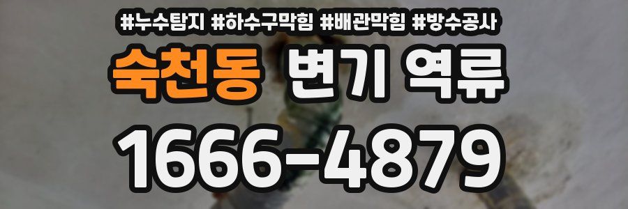 숙천동 변기 역류
