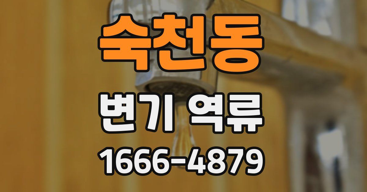 숙천동 변기 역류
