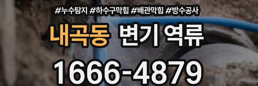 내곡동 변기 역류