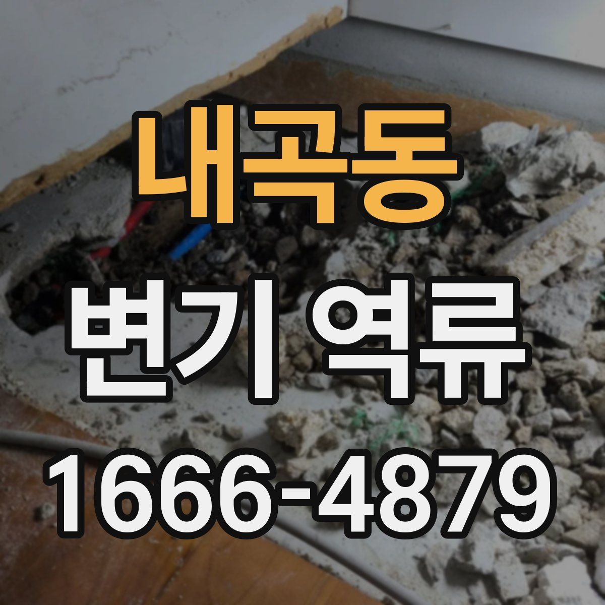 내곡동 변기 역류