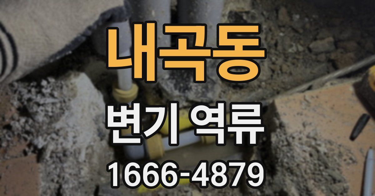 내곡동 변기 역류