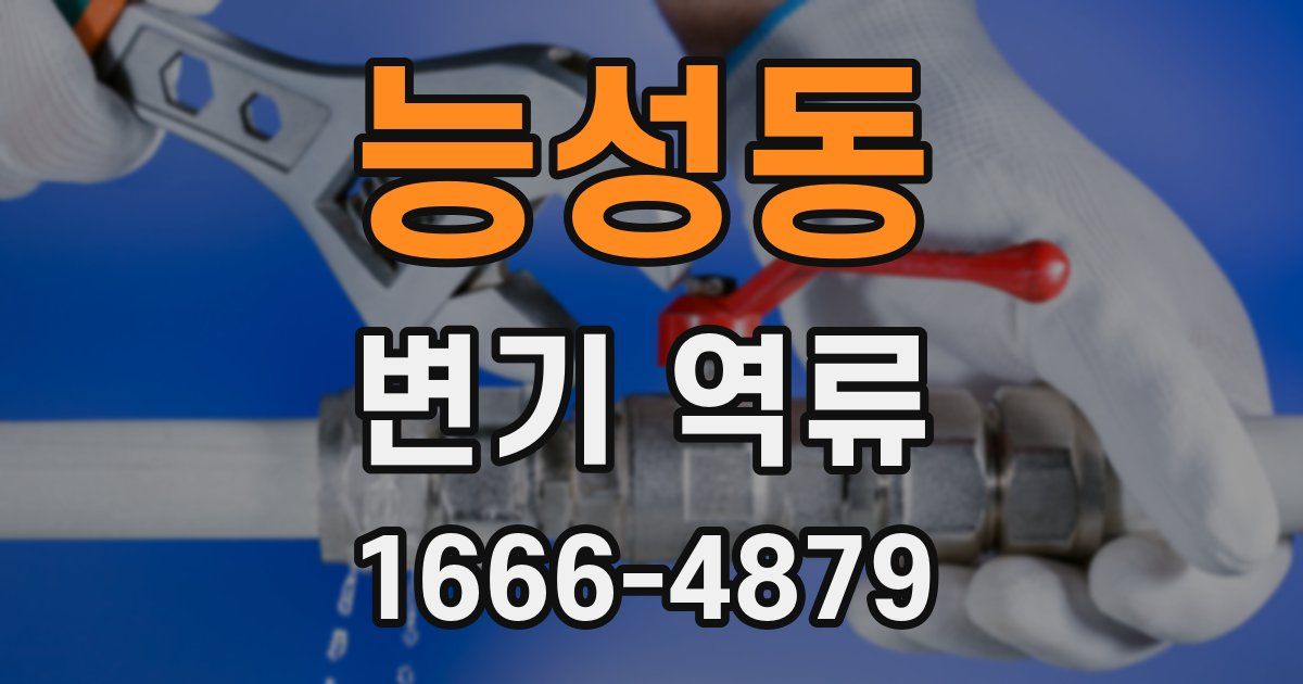 능성동 변기 역류