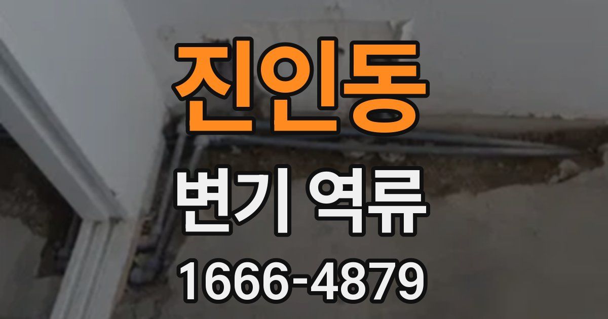 진인동 변기 역류