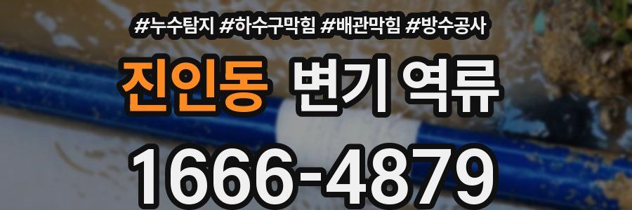 진인동 변기 역류