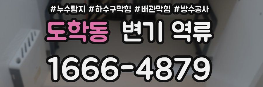 도학동 변기 역류