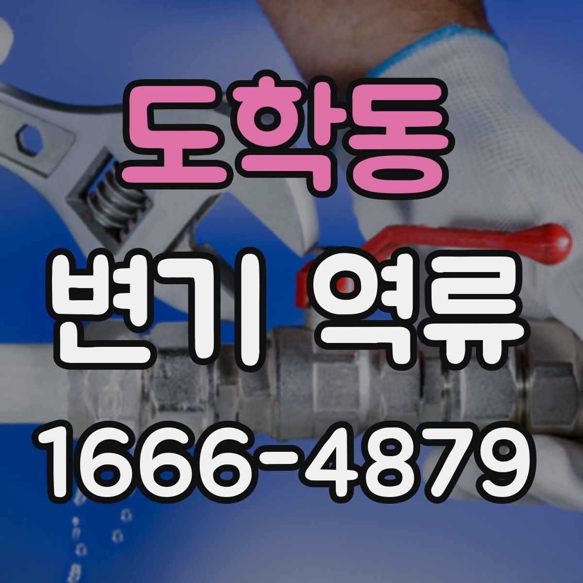도학동 변기 역류