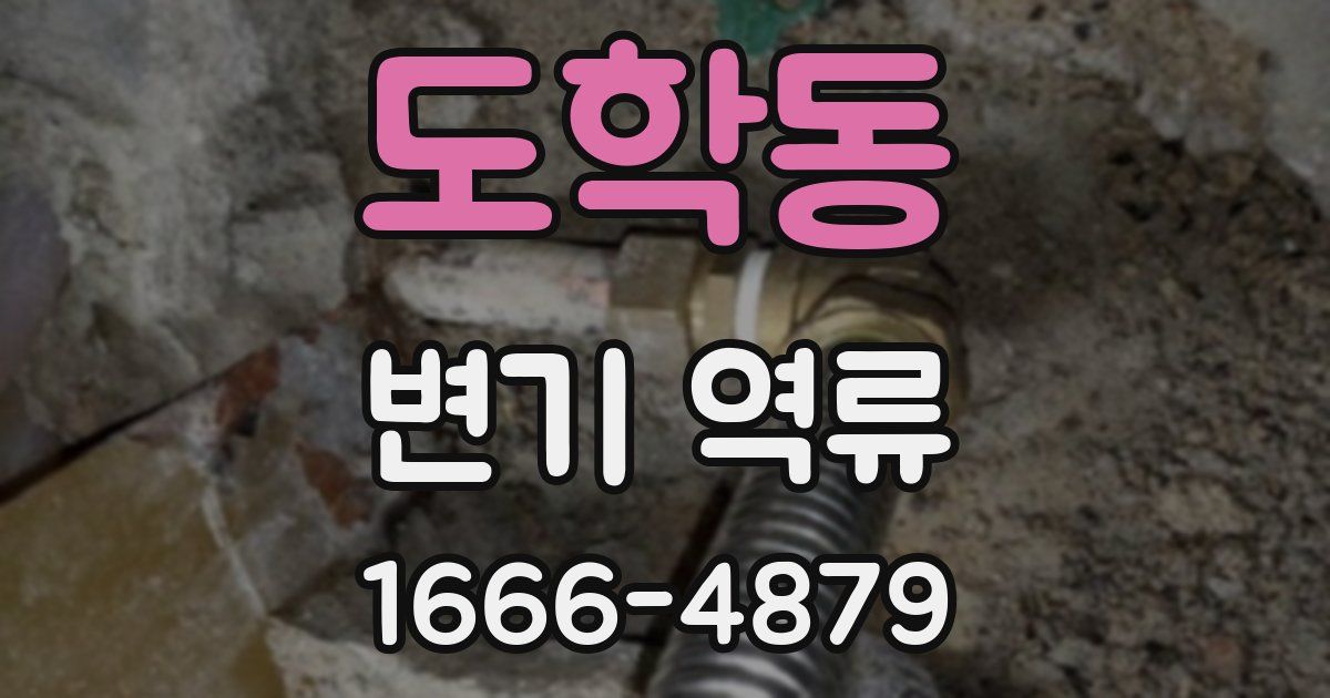 도학동 변기 역류