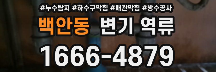 백안동 변기 역류