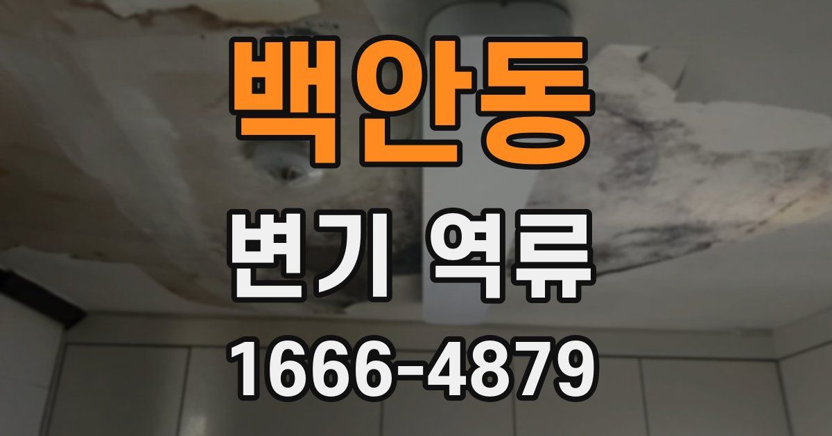 백안동 변기 역류