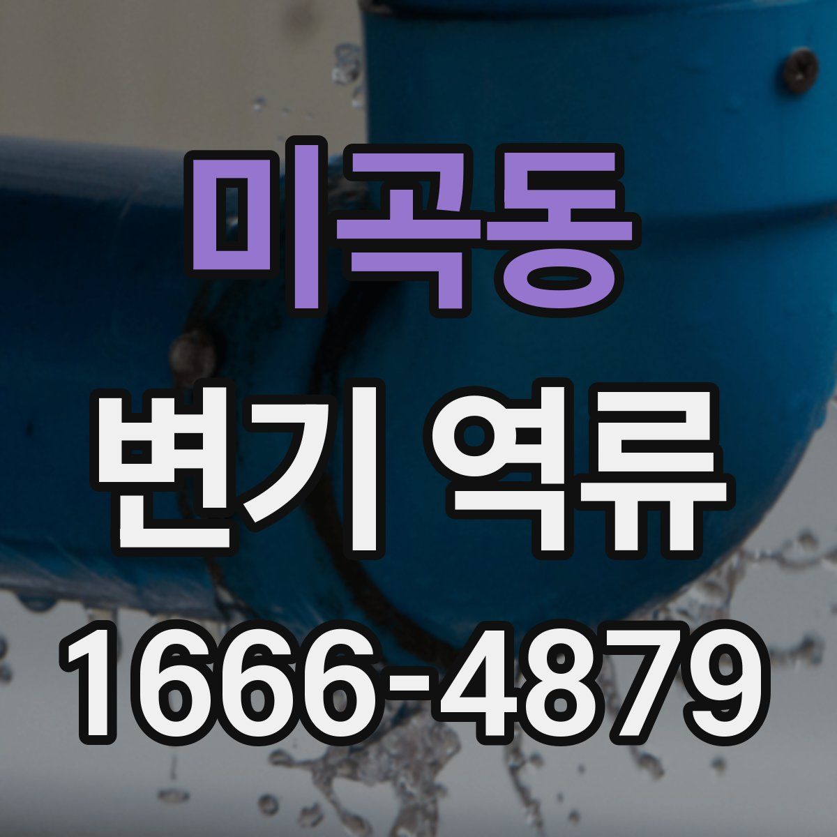 미곡동 변기 역류