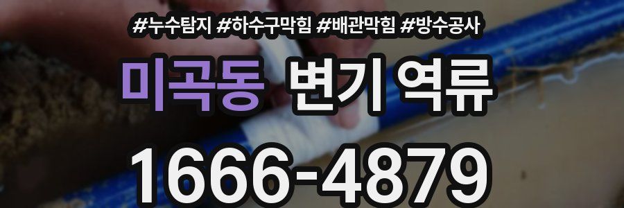 미곡동 변기 역류