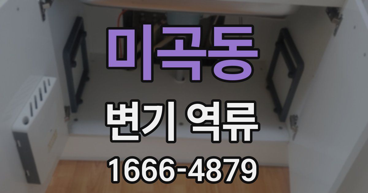 미곡동 변기 역류