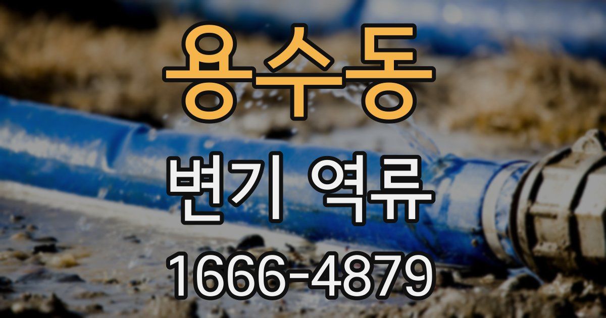 용수동 변기 역류