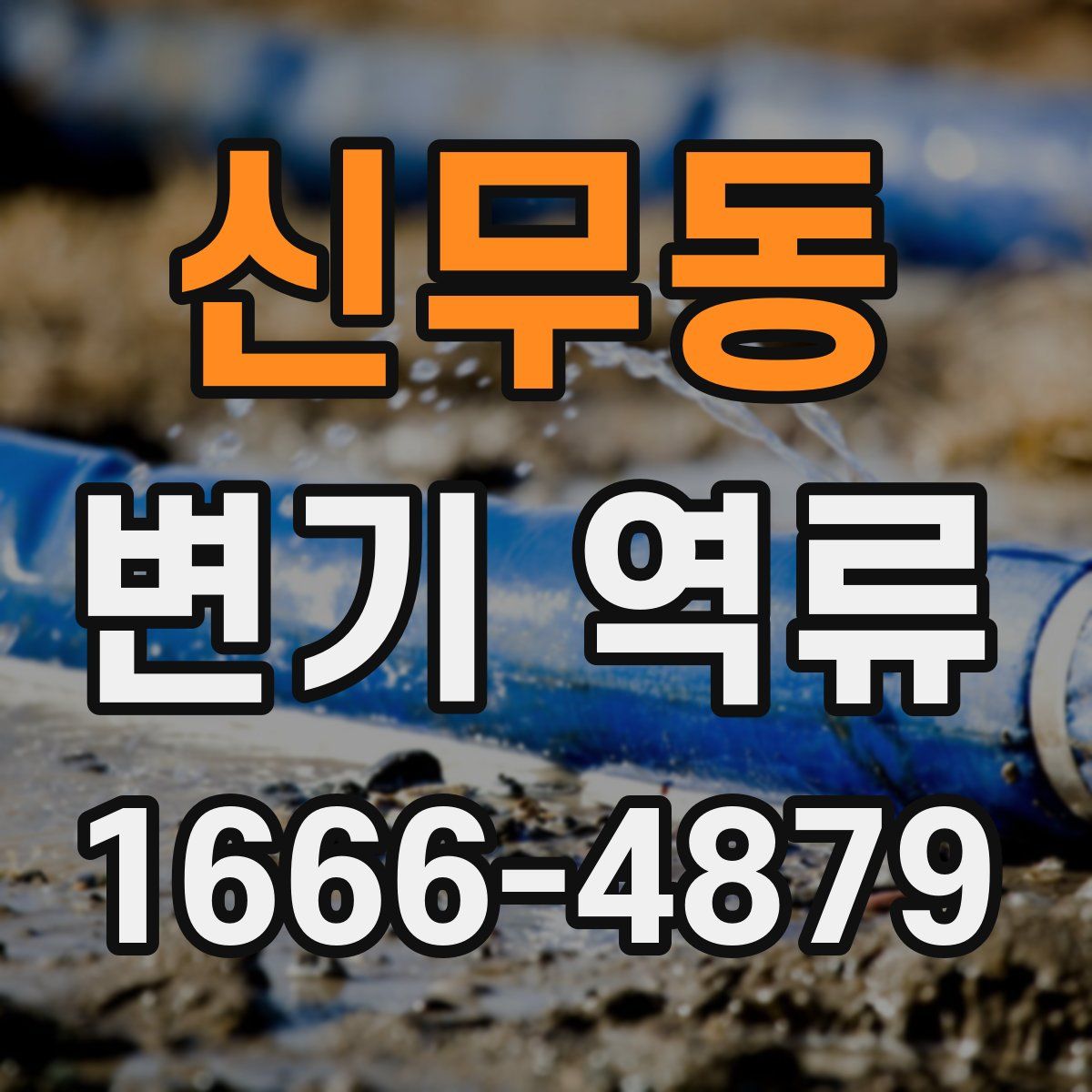 신무동 변기 역류