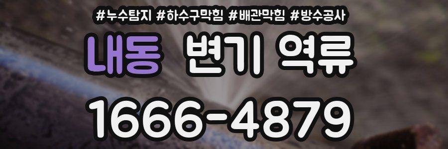 내동 변기 역류