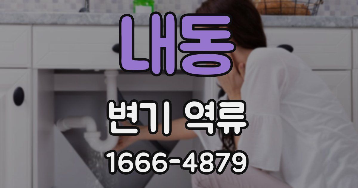 내동 변기 역류