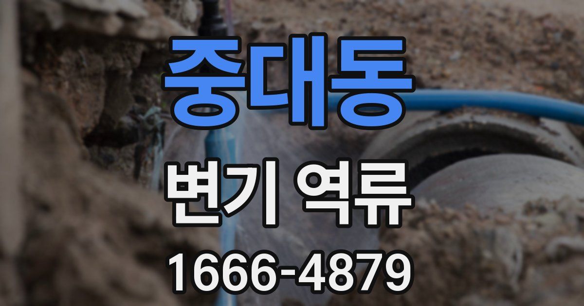 중대동 변기 역류