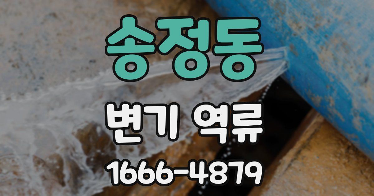 송정동 변기 역류