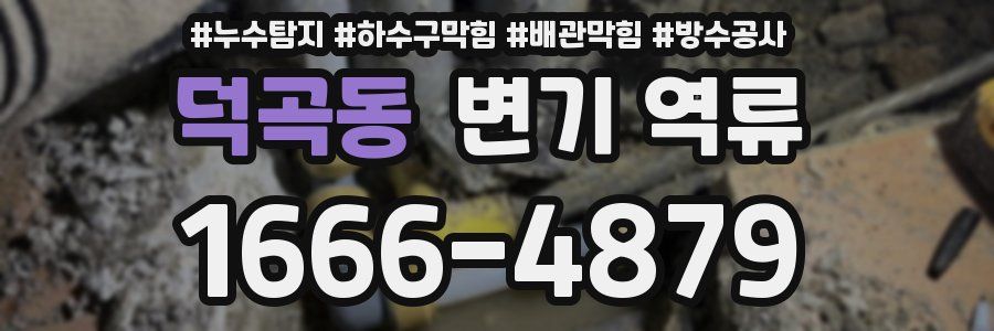 덕곡동 변기 역류