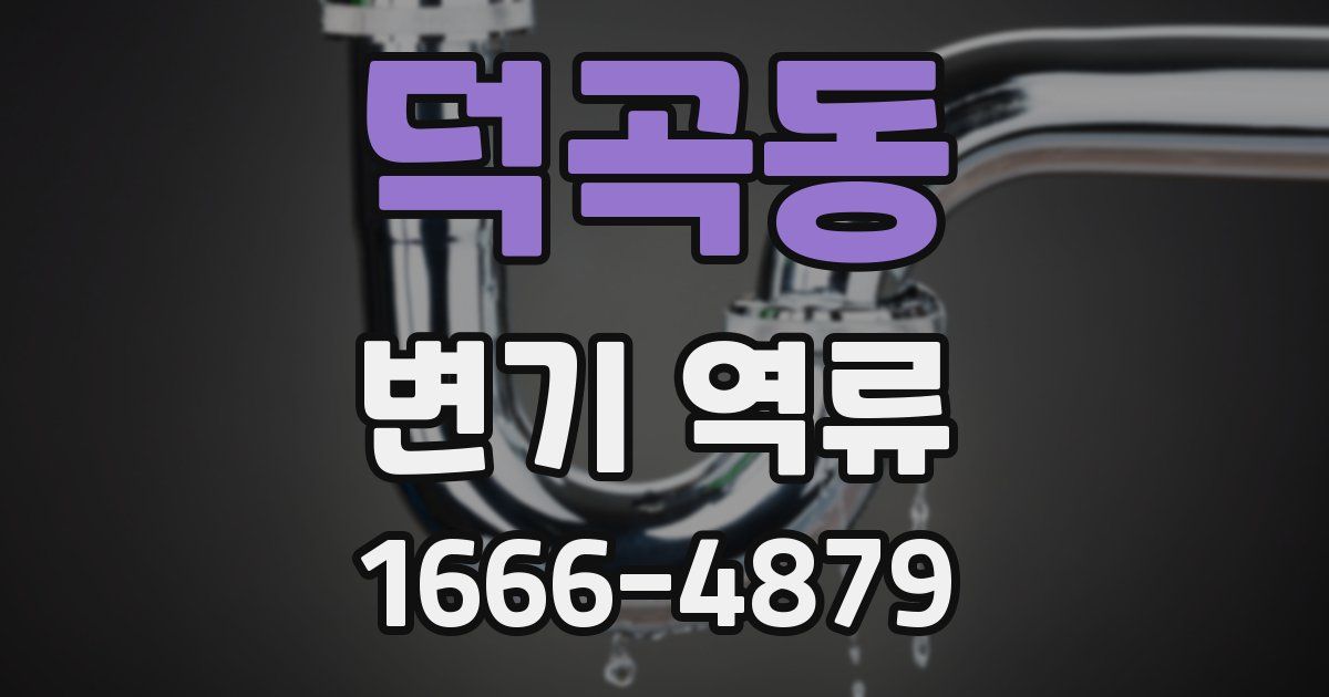 덕곡동 변기 역류