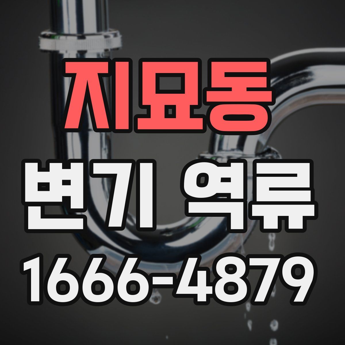 지묘동 변기 역류