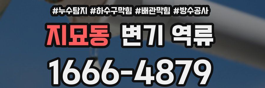지묘동 변기 역류