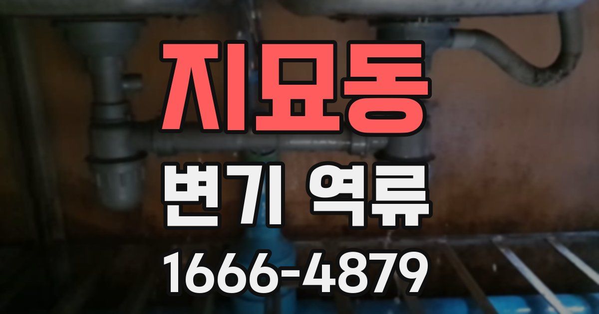 지묘동 변기 역류