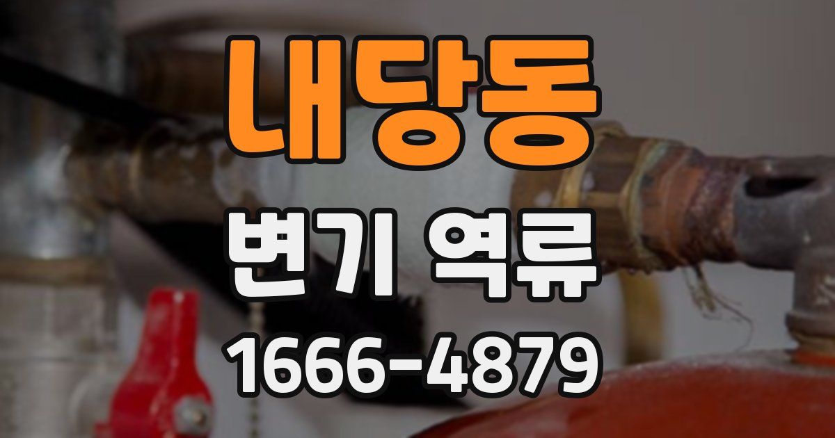 내당동 변기 역류