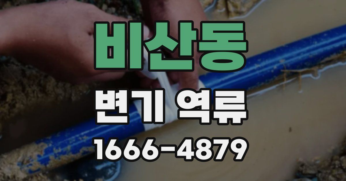 비산동 변기 역류