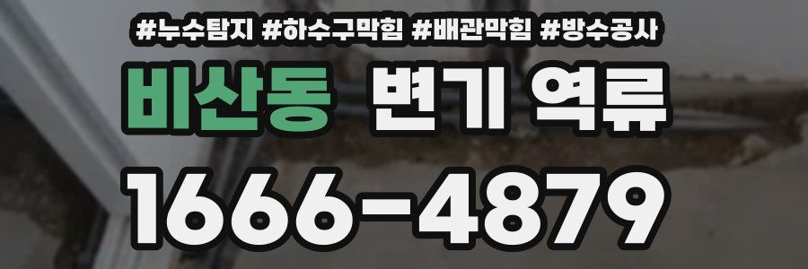 비산동 변기 역류