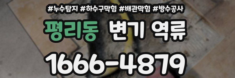 평리동 변기 역류