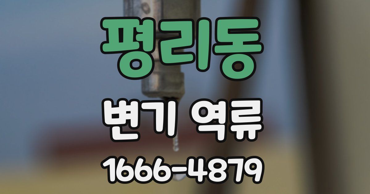 평리동 변기 역류