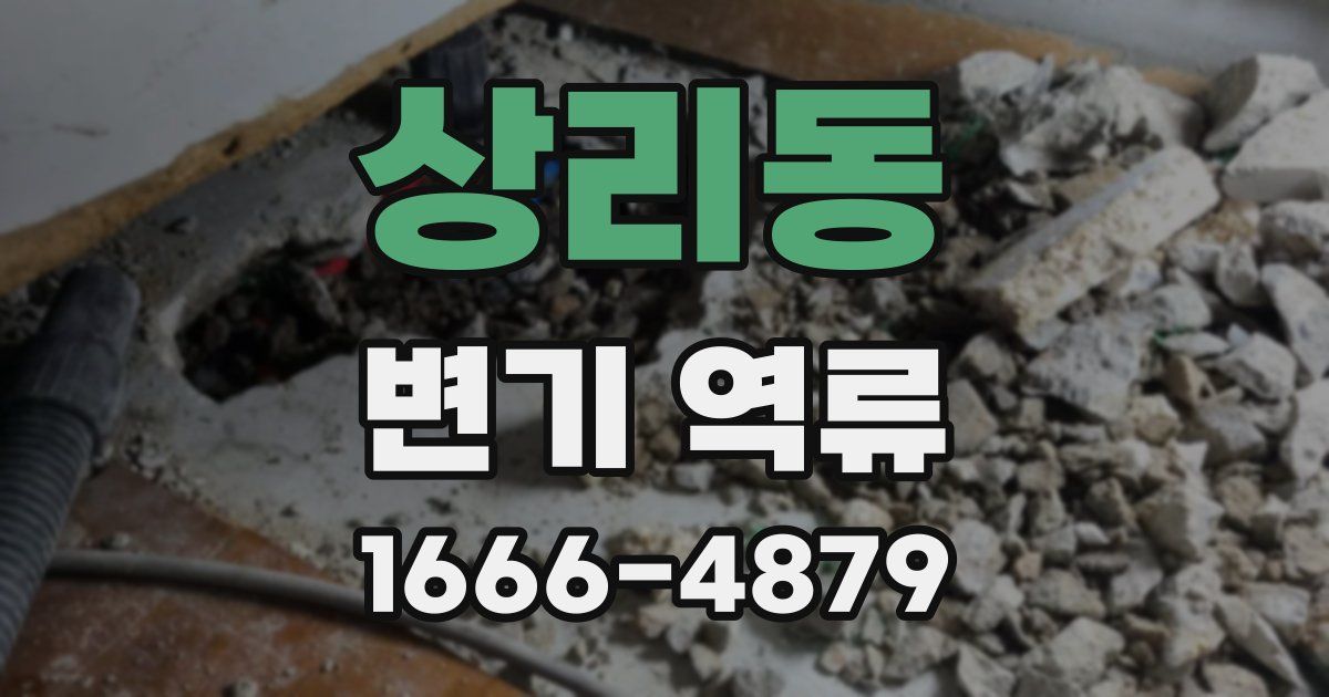 상리동 변기 역류