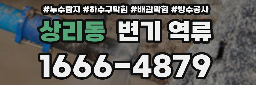 상리동 변기 역류