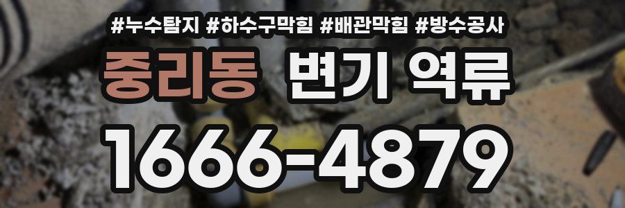 중리동 변기 역류