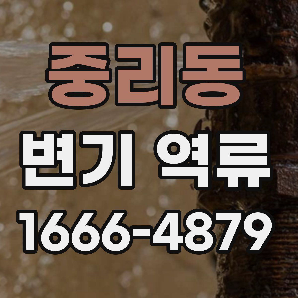 중리동 변기 역류