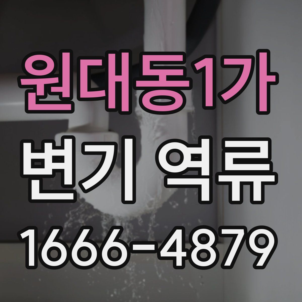 원대동1가 변기 역류