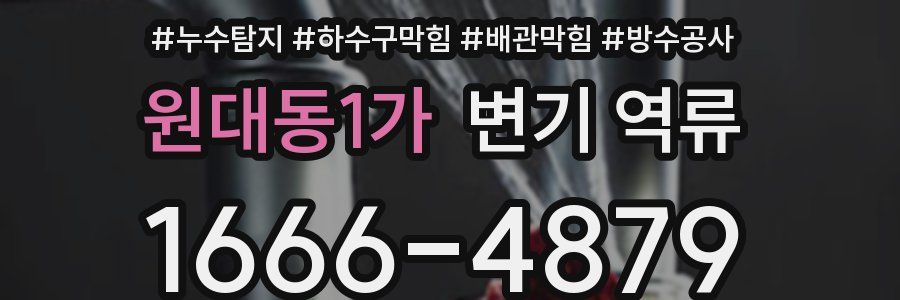 원대동1가 변기 역류