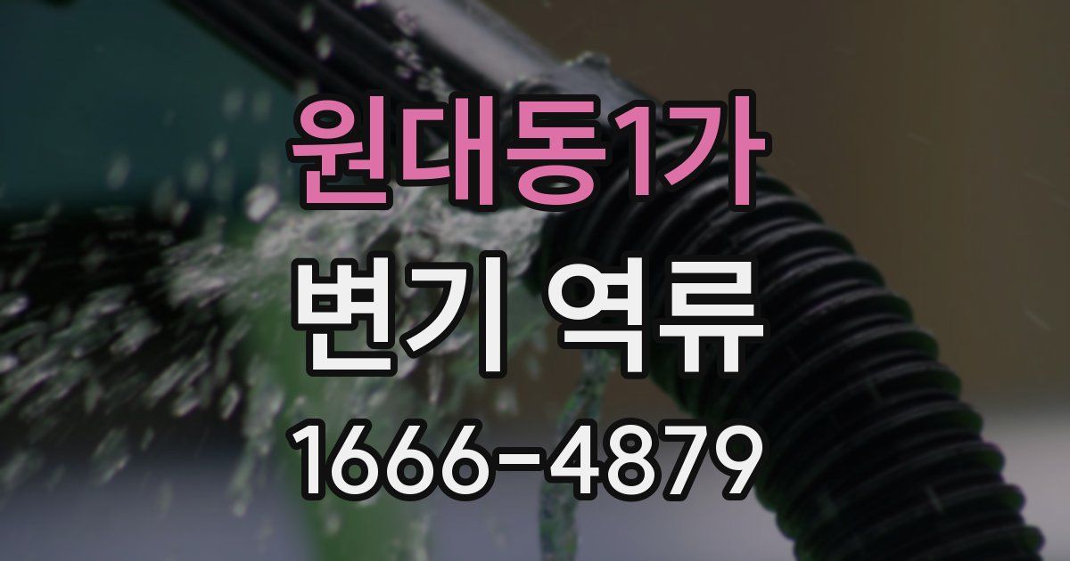 원대동1가 변기 역류