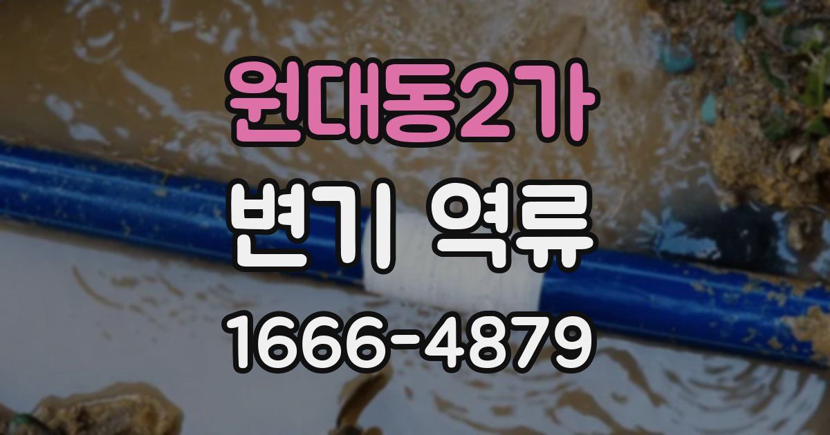 원대동2가 변기 역류