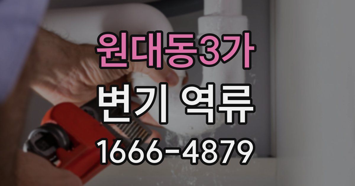 원대동3가 변기 역류