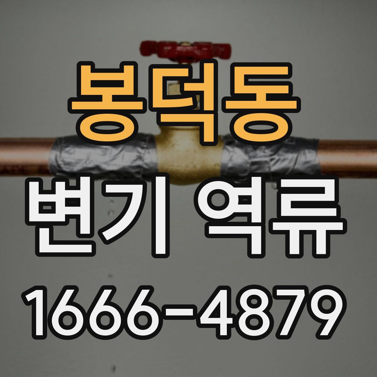 봉덕동 변기 역류