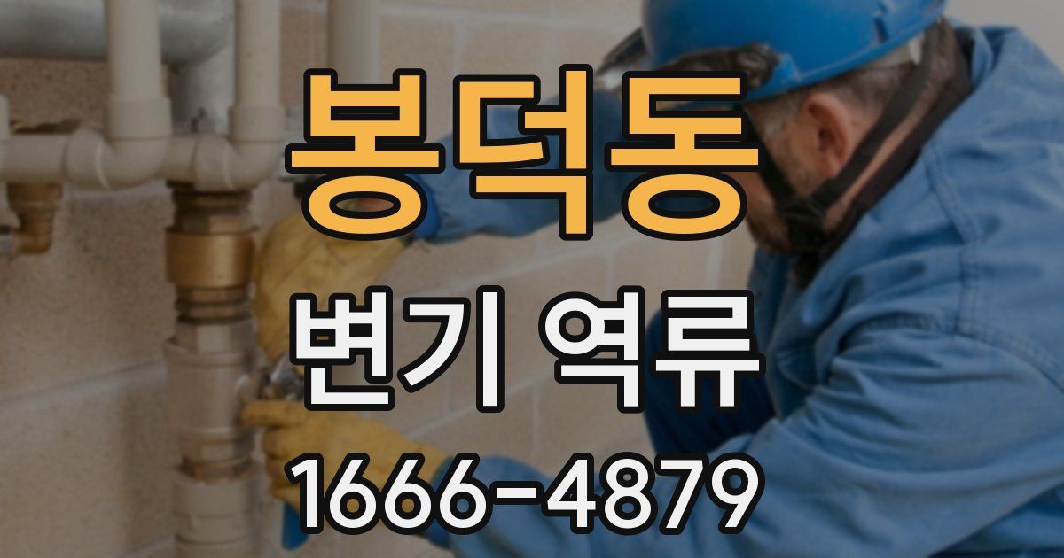 봉덕동 변기 역류