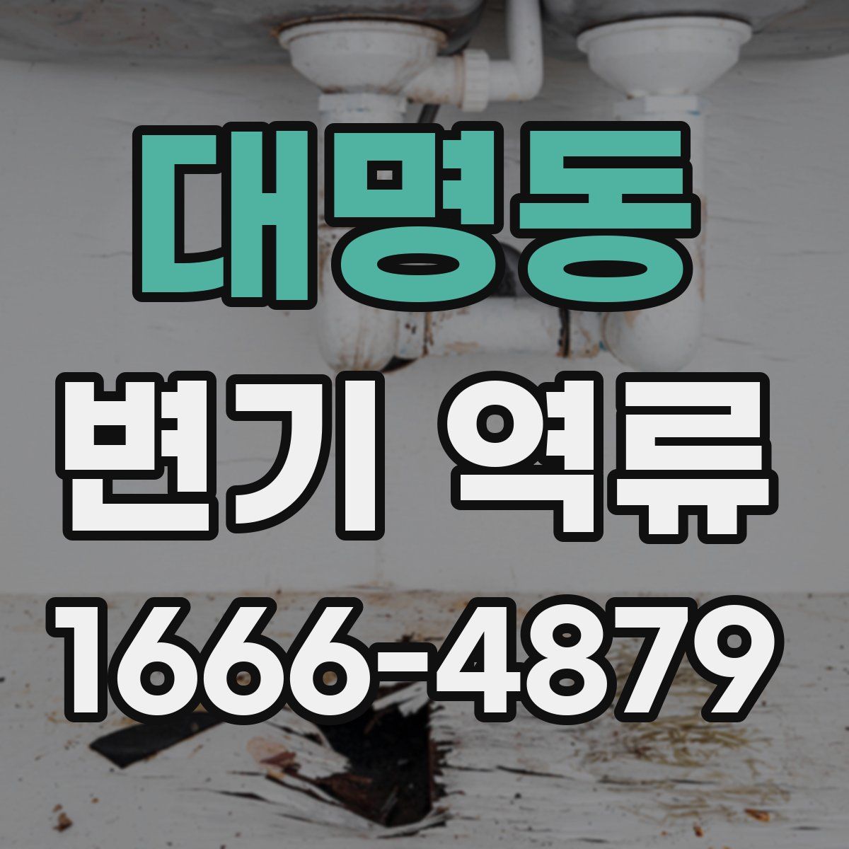 대명동 변기 역류