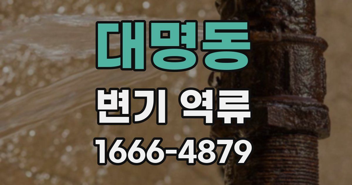 대명동 변기 역류