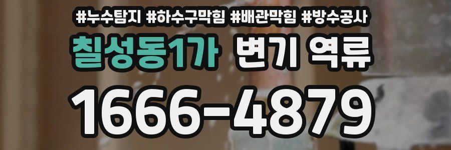 칠성동1가 변기 역류