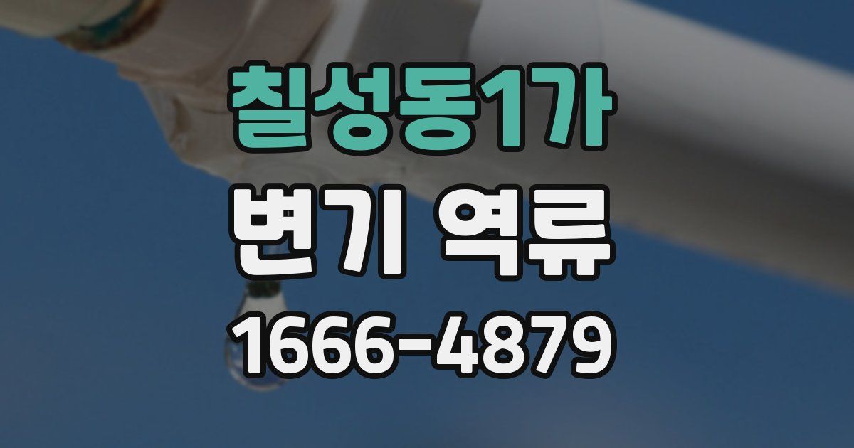 칠성동1가 변기 역류