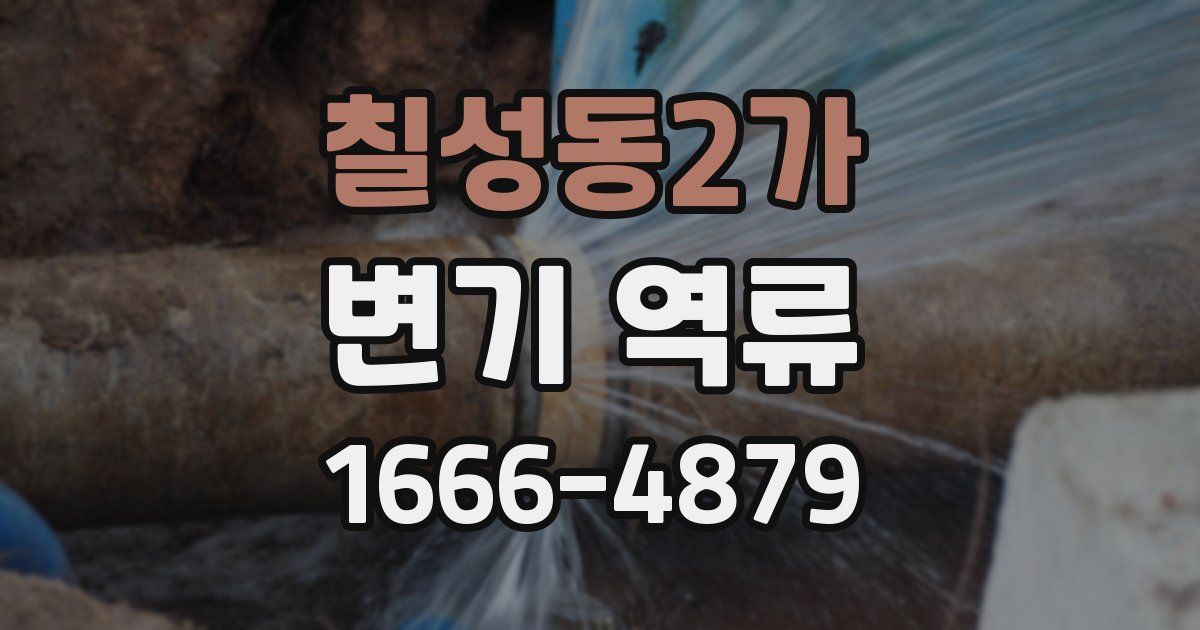 칠성동2가 변기 역류