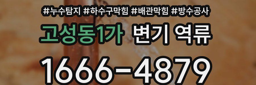 고성동1가 변기 역류